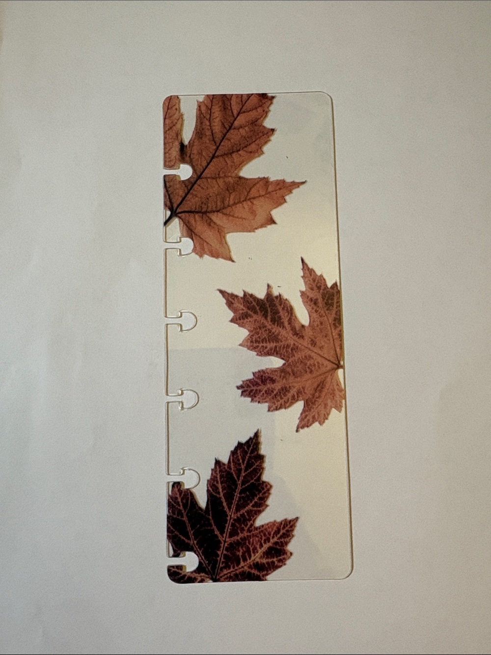 Jane’s Agenda October 2025 Jr Discbound planner cover and page finder - Picture 4 of 6